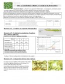 DM – Le métabolisme cellulaire : l’exemple de la photosynthèse