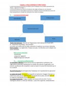 Question n°1 - VEILLE JURIDIQUE ET DROIT SOCIAL SYNTHESE