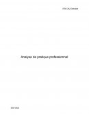 Analyse de professionnelle