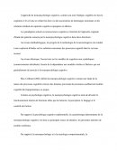 L'approche de neuropsychologie cognitive