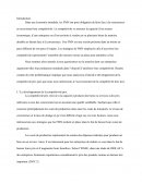 Dissertation " Quelles stratégies les FMN utilisent-elles pour accroitre leur compétitivité ?"