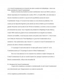 Commentaire article 61-1 de la Constitution