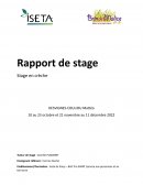 Rapport de stage sapat