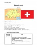 Diagnostic export Paddle Suisse