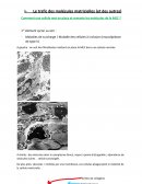 8 - REG et Golgi - Cours complet L1CB-SVT