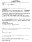 Méthodologie synthèse francais