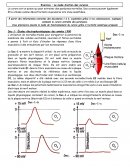 Le mode d’action des curares