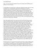 Les instruments dont disposent les pouvoirs publics sont-ils efficaces pour préserver l’environnement ?