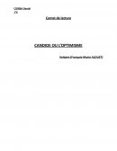 Candide-Voltaire, Carnet de lecture
