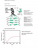 Biologie cellulaire et moléculaire