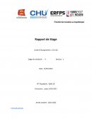 Rapport de stage Dieppe