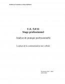 Analyse de pratique professionnelle