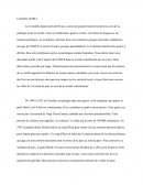FARC en Colombie