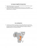 Les impact négatifs de l'environnement