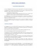 DROIT DES CONTRATS : LA NOTION D’OBLIGATION