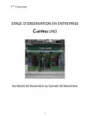 STAGE D’OBSERVATION EN ENTREPRISE