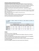 Rapport de professionnalisation