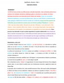 Explication linéaire Mai Apollinaire