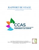 Rapport de Stage Première Année SP3S