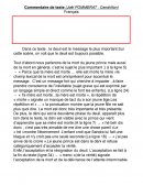 Commentaire de texte (Joël POMMERAT , Cendrillon)