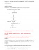 Identifier et analyser les différents circuits et stratégies et de distribution