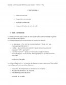 Document débutant commercial