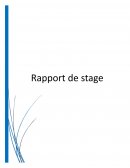 Rapport de stage de bts sp3s