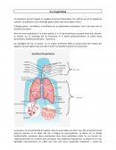 La respiration