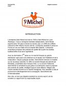 Diagnostic de l'entreprise Saint Michel