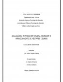 DECLARAÇÃO DE HONRA