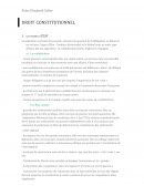 Cour droit constitutionnel