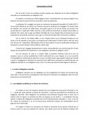 Commentaire d'arrêt : L’homme qui s’engage volontairement à verser mensuellement une somme jusqu’à la fin des études de son potentiel fils transforme-t-il une obligation naturelle en obligation civile ?