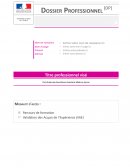 Exemple de dossier professionnel