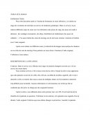 Analyse de la pratique professionnelle en gériatrie
