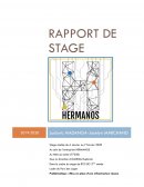 Rapport de stage aide soignante en cardiologie