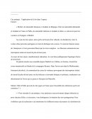 Cas pratique : l'application de la loi pénale dans l'espace