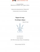 Rapport de Stage S6 Psychologie trame