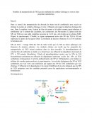 Synthèse de nanoparticules de TiO2 par des méthodes de synthèse chimique et verte et leurs propriétés multiformes