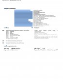 Curriculum vitae
