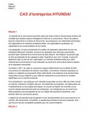 Cas d’entreprise:HYUNDAI