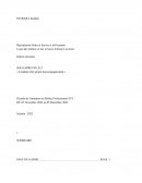 Dossier e13, bac pro assp