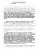 Commentaire composé sur la princesse de Clèves