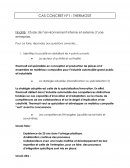 Etude de l’environnement interne et externe d’une entreprise