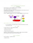 Fiche pratique SYSTEME ENDO