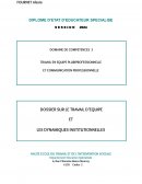 Travail en Equipe et Dynamiques Institutionnelles