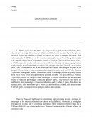 Ex dissertation bac blanc de français
