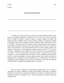 Ex dissertation bac blanc de français