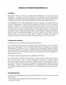 Analyse de pratique professionnelle, La Clinique Provence Bourbonne