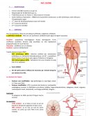 Processus obstructifs