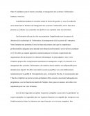 Candidature pour le master consulting et management des systèmes d’information